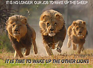Lions AWAKE