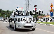 Bằng lái xe ô tô B1 là gì? - Học Lái Xe 12h