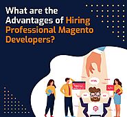 What are the Advantages of Hiring Professional Magento Developers?