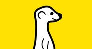Meerkat founder talks about his app's meteoric rise, his crazy sleep schedule, and why he's not worried about Twitter...