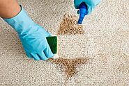 Undeniable Benefits Of Hiring A Natural Carpet Stain Remover