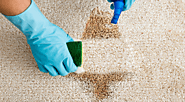 Why Should You Hire A Certified Carpet Stain Removal Specialist? – Carpet Stain Remover