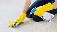 What are the Common Procedures Followed by Carpet Stain Removal Service?