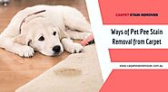 What Are the Best Ways of Pet Pee Stain Removal from the Carpet?