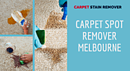 Some Highly Adored Natural Carpet Stain and Spot Removers