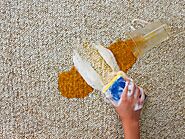 How To Choose The Best Carpet Stain Remover?
