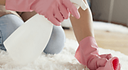 Signs You Need To Hire A Professional Carpet Cleaner – Carpet Stain Remover