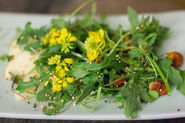 Arugula Salad with Apples and Toasted Quinoa