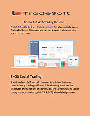 Crypto And Web Trading Platform