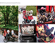 Turbo Jogging Pet Stroller is Perfect for Runners.