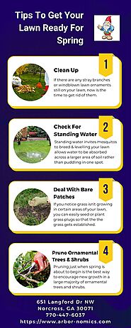 Tips To Get Your Lawn Ready For Spring