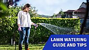 Lawn Watering Guide & Tips