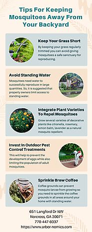 Tips For Keeping Mosquitoes Away From Your Backyard
