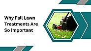 Why Fall Lawn Treatments Are So Important?