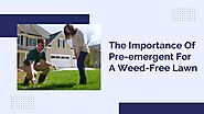 The Importance Of Pre-emergent For A Weed-Free Lawn