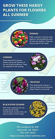 Grow These Hardy Plants For Flowers All Summer