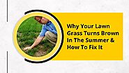 Why Your Lawn Grass Turns Brown In The Summer & How To Fix It?