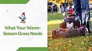 What Your Warm-Season Grass Needs?