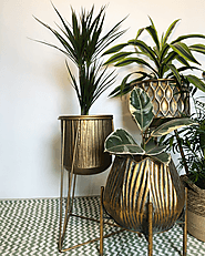 Best Indoor Plant Pot Stands - Plant Stands, Planters in UK – The Plant Box UK