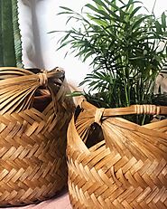 Plant baskets | Basket planters | Hanging Flower Basket Online – The Plant Box UK