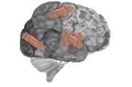 Making Movement Easier: Can Mindfulness Re-Open Pathways in the Brain?