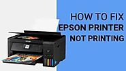 Epson Printer Not Printing