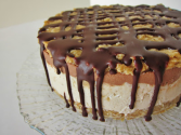 Raw Samoa Cheesecake