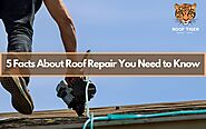 5 Facts About Roof Repairs You Need to Know