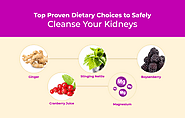 Top Proven Dietary Choices to Safely Cleanse Your Kidneys