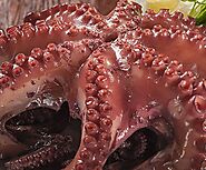 Buy Whole Octopus 2-2.5 kg Online at the Best Price, Free UK Delivery - Bradley's Fish
