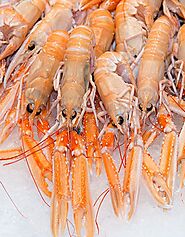 Buy Whole Scampi 4/7 in kg - Langoustines Langoustine Online Online at the Best Price, Free UK Delivery - Bradley's Fish