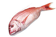 Buy Emperor 600-800g Online at the Best Price, Free UK Delivery - Bradley's Fish
