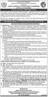 CPEC Jobs Online Apply cpecauthority.gov.pk - EmployeesPortal