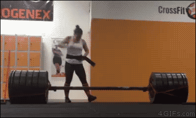 Image result for workout gif funny