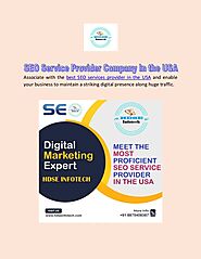 SEO Service Provider Company In the USA