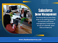 Salesforce Donor Management