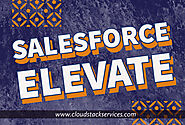 Salesforce Elevate