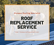 Protect Your Home With Roof Replacement Service