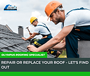 Repair or Replace Your Roof - Let's Find Out