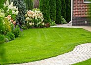 5 Ground Rules To Follow To Revamp Your Front Yard Landscape