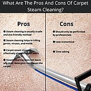 What Is Carpet Steam Cleaning And What Is Advantage And Disadvantage: deepshinecleani — LiveJournal
