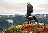 Hiking time How to Protect Your Dog from Hazards - Dogs Care Tips