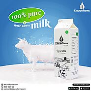 Farm Fresh Pure Cow Milk Greater Noida – Direct to Your Doorstep