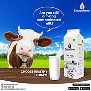How Cow Milk in Greater Noida West Can Help With Your Diabetes