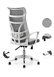 Allguest Office Chair Home Computer Chair White High Back Armrest Ergonomic Adjustable Lumbar Support Mesh Nylon AG-8...