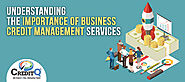 Understanding the Importance of Business Credit Management Services
