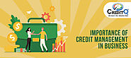 Importance of Credit Management in Business