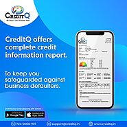 Business Credit Information Report
