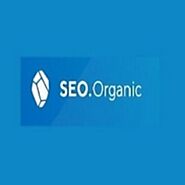 SEO Organic – Bizmakersamerica