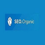 SEO Agency Germany | SEO Organic | Fandom